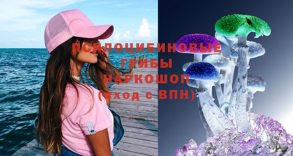 PSILOCYBIN Балахна