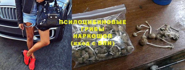 PSILOCYBIN Балахна