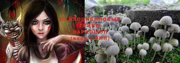 PSILOCYBIN Балахна