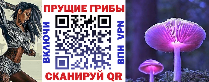 блэк спрут вход  Серов  Галлюциногенные грибы GOLDEN TEACHER 